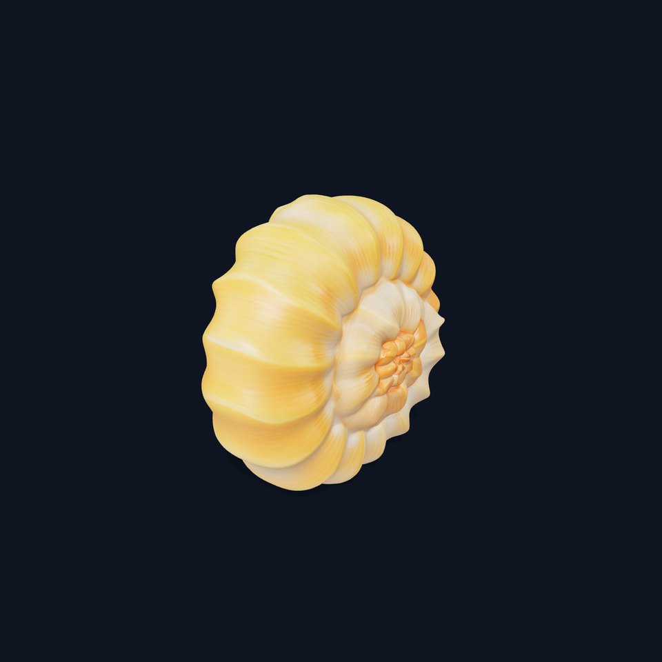 Spiral Shell Texture model pack
